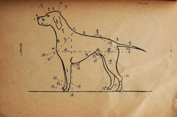 [Шидловский И.И., автограф]. Шидловский И.И. Что должен знать каждый владелец собаки. Л., 1930.